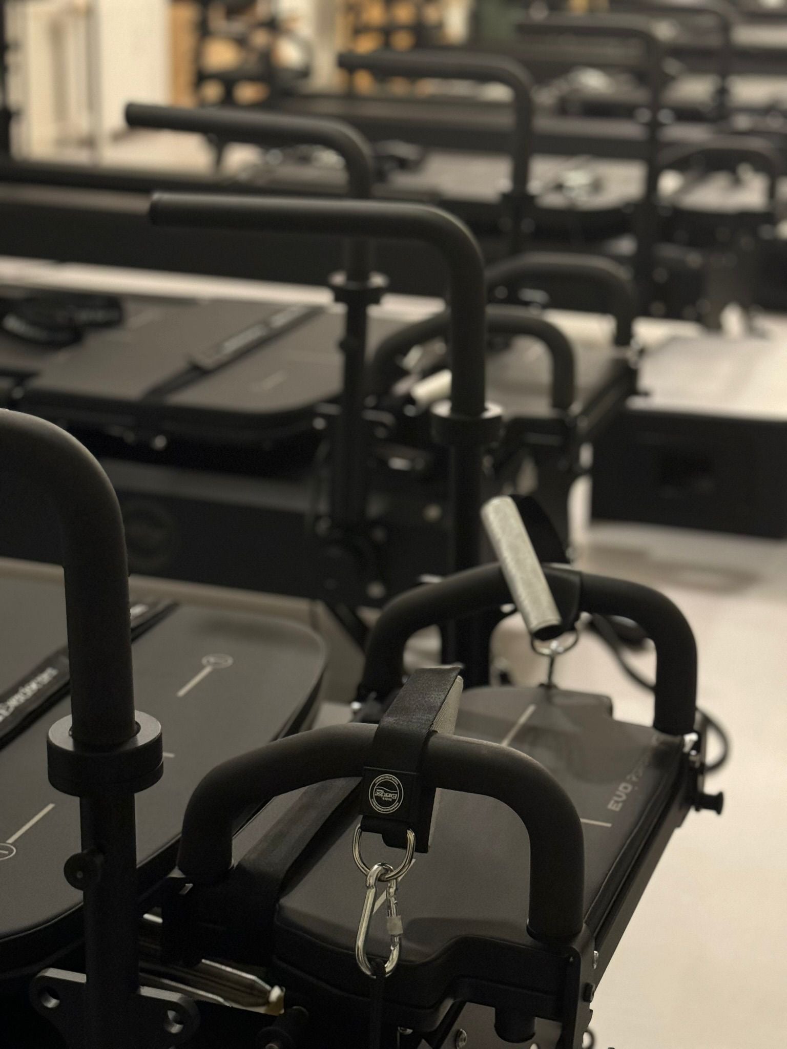 EVO Performance - Body & Exercise